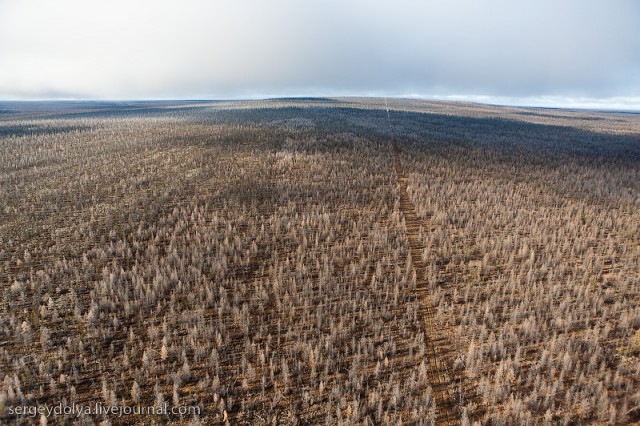 Полеты над Якутией (47 фото)