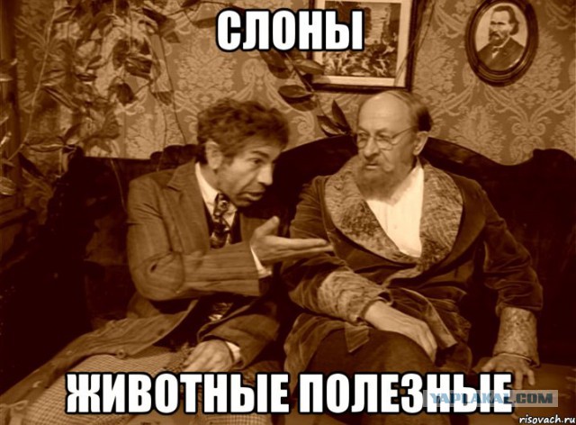 Всем зеленки!