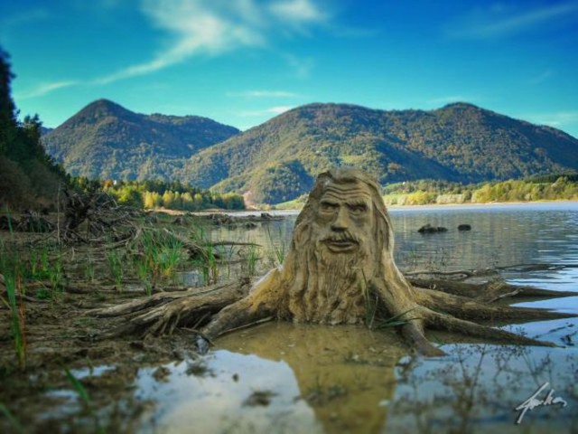 Забавные картинки.