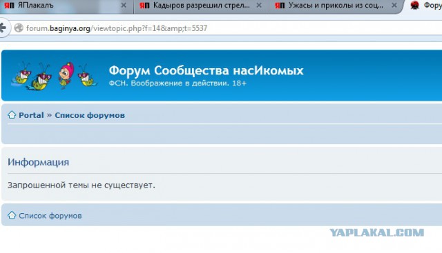 Ужасы и приколы из соцсетей 18+