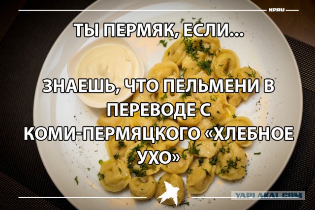 35 признаков того, что ты - пермяк