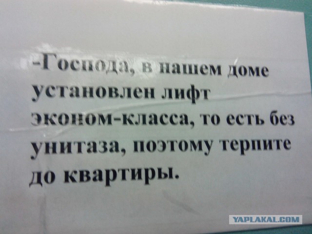 Веселые картинки