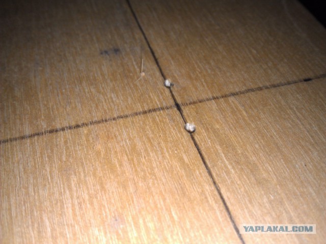 Мягкие стеновые панели.