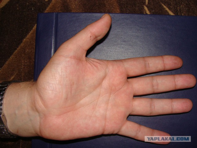 Исследую Хиромантию (Часть 2, спустя год)