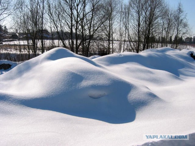 Закуски к той самой