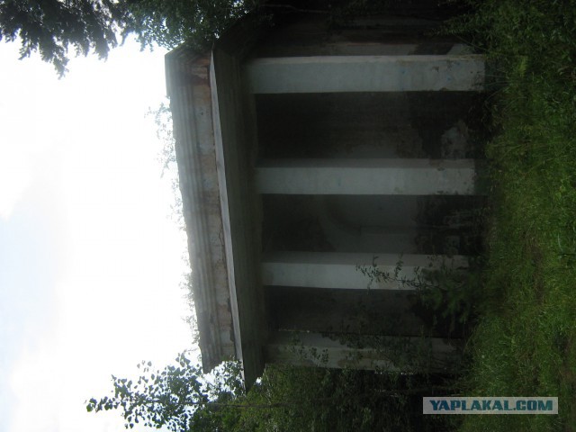 Артек, "ужасы" российской действительности