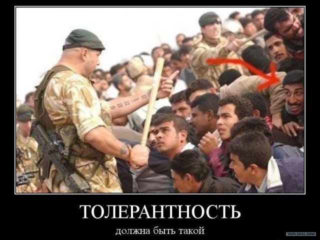 Вот такая толерантность