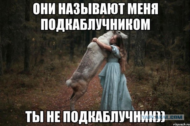 Бабораб. Норма?