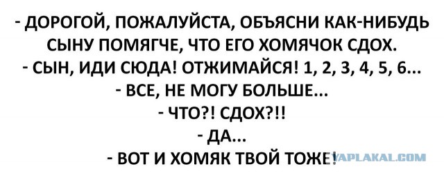 Буквы картинками