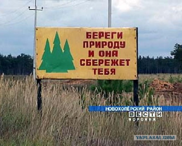 Преступный “гражданский активизм”: почему общество поощряет беззаконие?