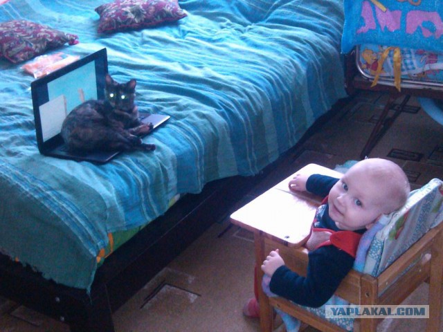 Покажи свою киску?