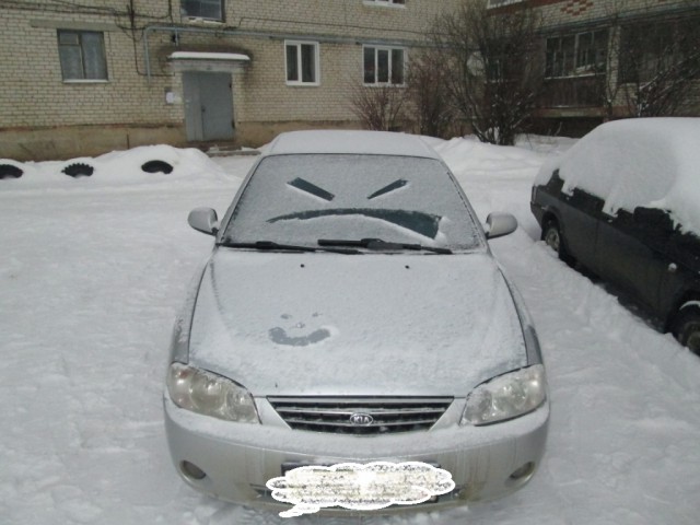 На каких машинах ездят ЯПовцы