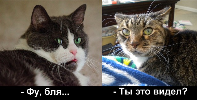 Немка с неуемной страстью к загару