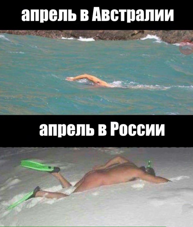 Подборка безудержного веселья