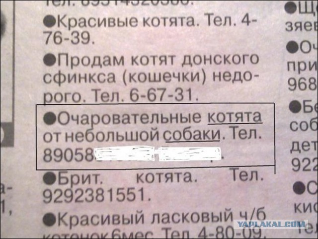 Всяко-разно. Юморок