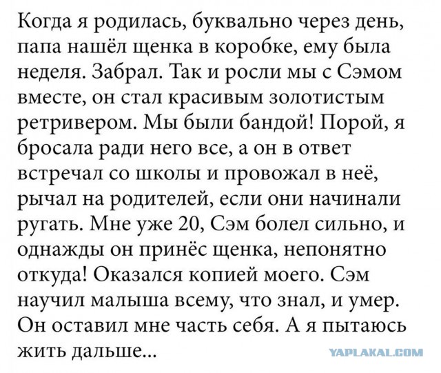 Настало время ахуи*****ных историй!