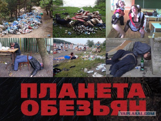 Почему я не хочу отдыхать на нашем юге