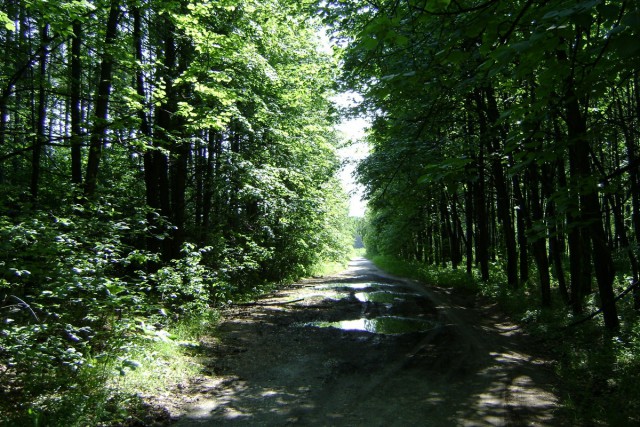 Новосибирск