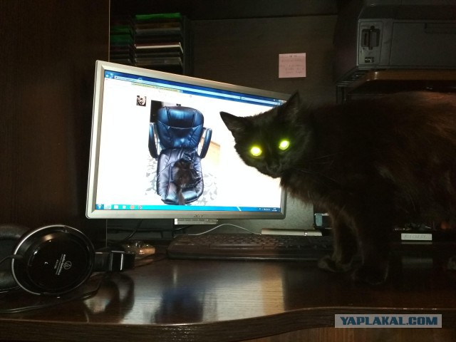 Бунт на корабле