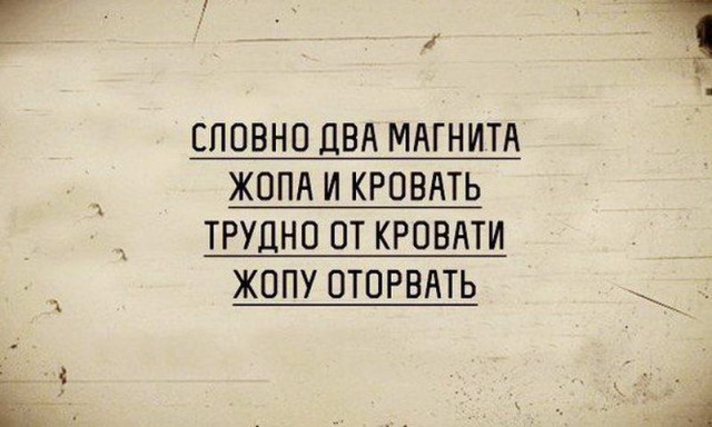 Скотсети и прочие интернеты 13.11.17