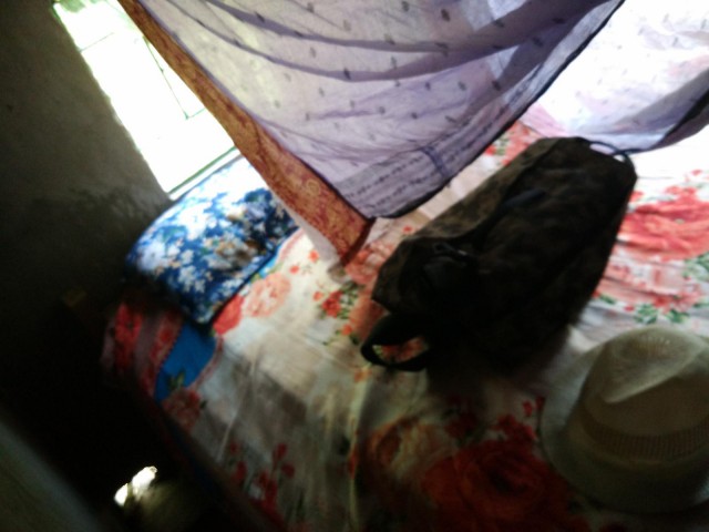 К живым мостам и обратно. Заметки из Индии