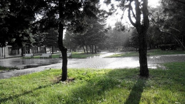 Просто Природа