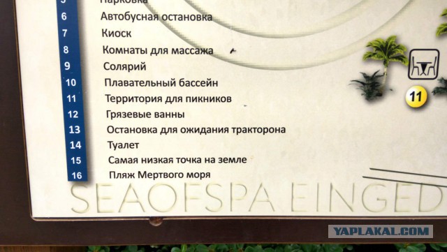 Первая поездка в Израиль