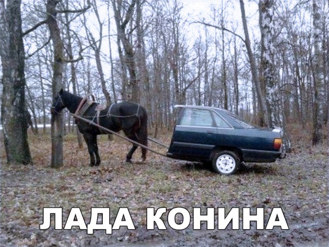 Нестандартный юмор