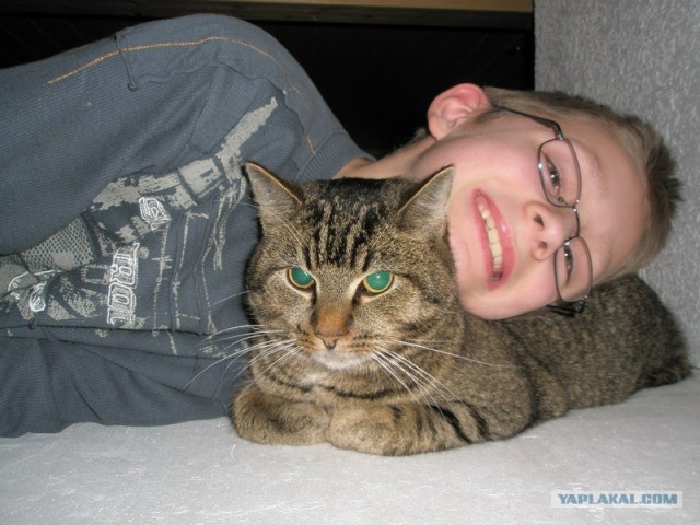 Котовторник (14.02.2012)