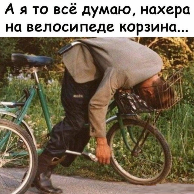 Анекдоты, соц-сети, истории и картинки с надписями