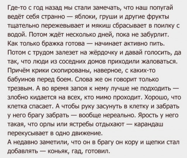 Традиционный алкопост в эту пятницу