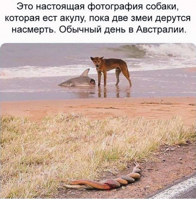 Немного картинок с надписями и без - 16