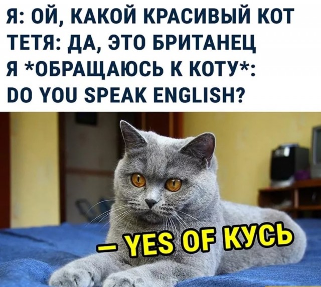 Подборка из этих интернетов