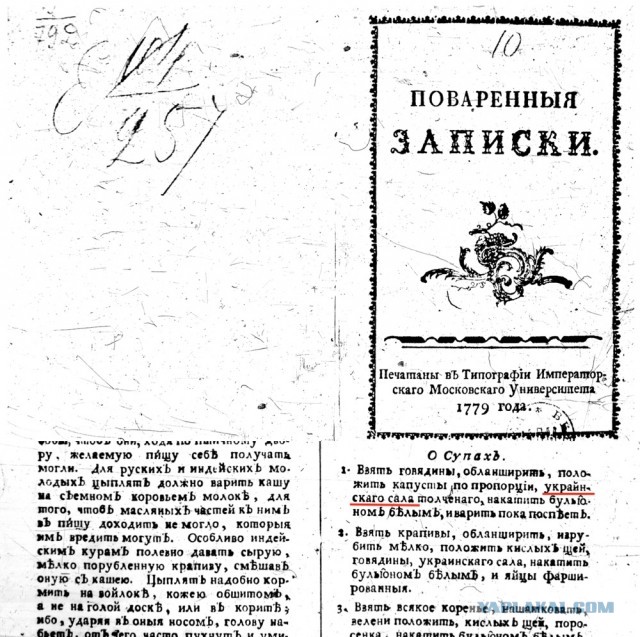 Чем украинский борщ отличается от русского