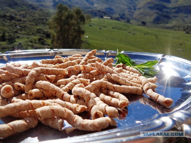 Лапша лугового флота свободного выгула