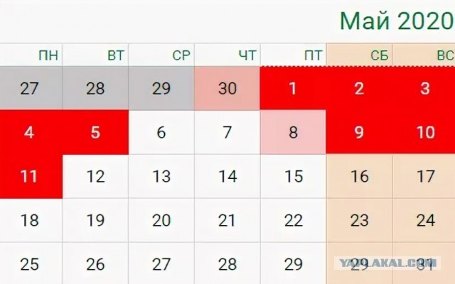 В Госдуме выступили за продление самоизоляции до лета
