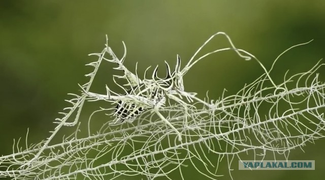 Ух ты, красивое какое