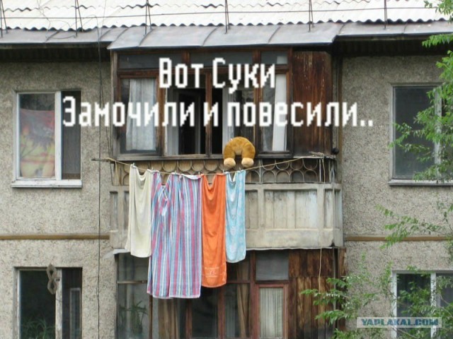 Конкурс: подпись к картинке