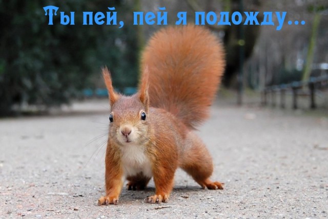 Алкопост 7.11.20