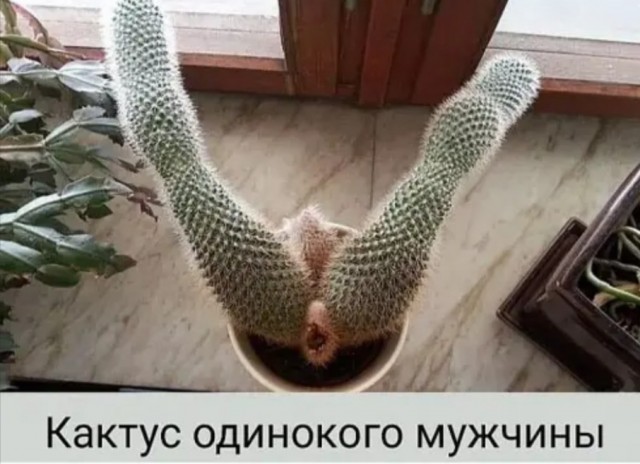 Бредзона 23.11.20