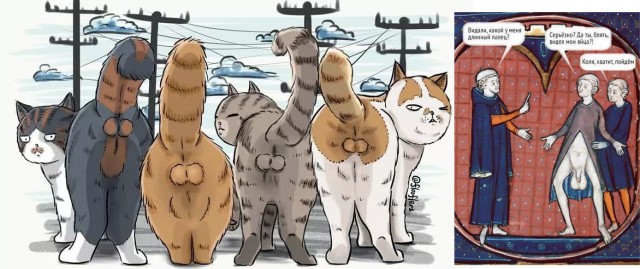 Котик сделает лучше любой логотип