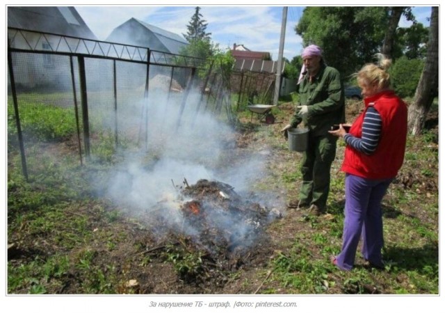 В России с 1 января на территории частных домов запретят сжигать мусор и разводить костры