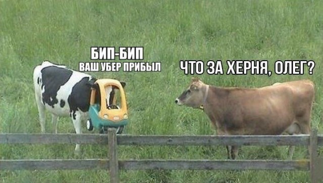 Ну наконец-то