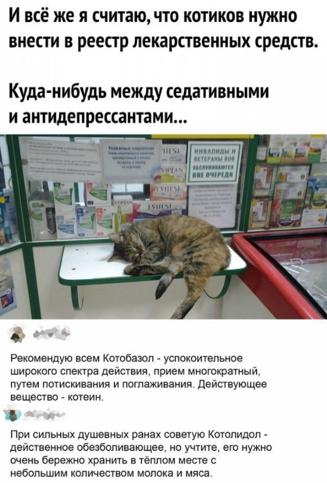Бредзона 10.03.21