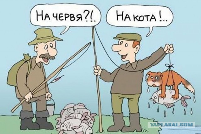 Жена рыболова