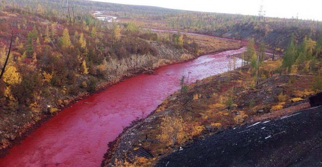 Калейдоскоп картинок