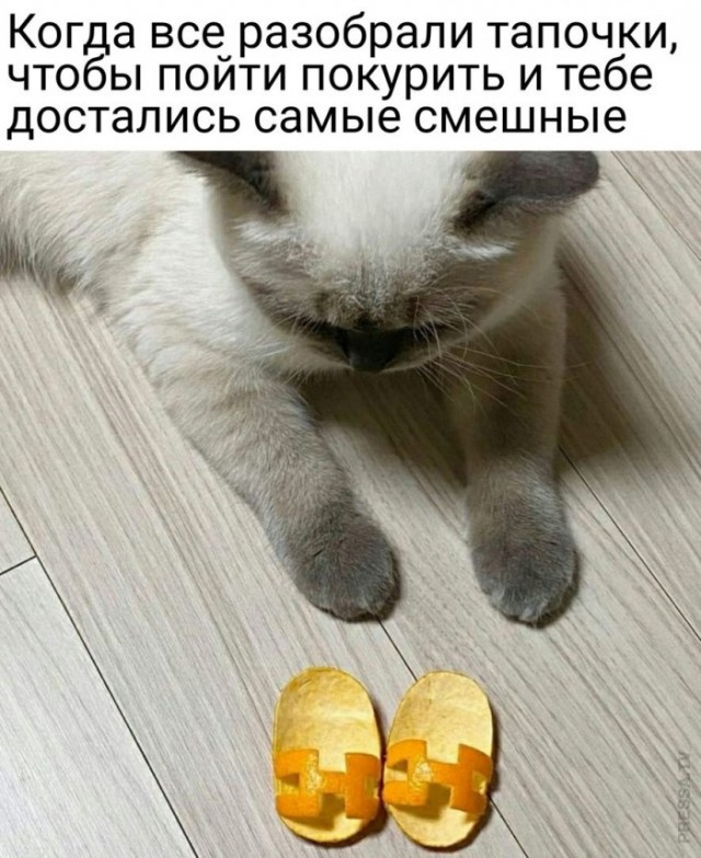 Картинки и мемы для настроения