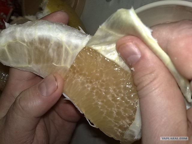 Необычные кулинарные рецепты.