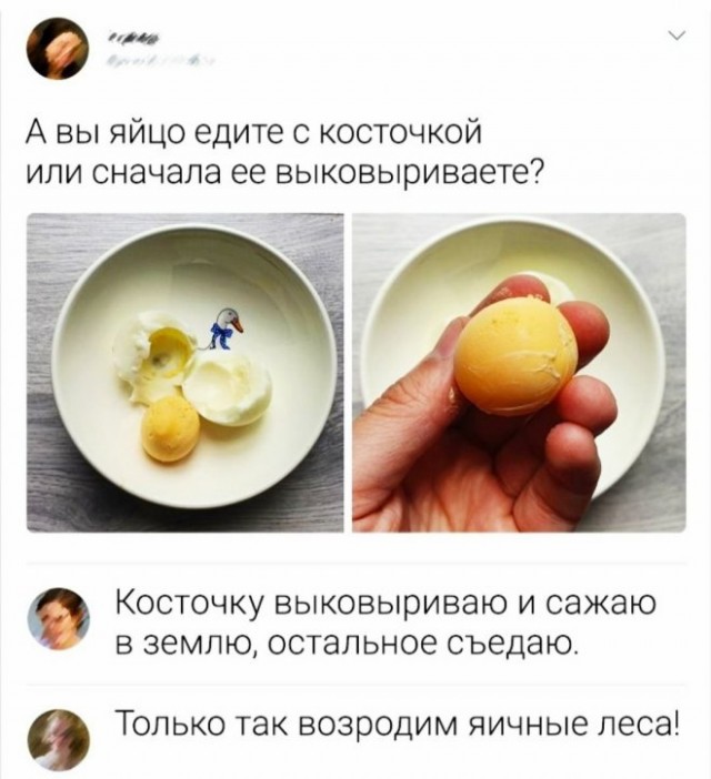 Весёлый полтишок 21.06.2021