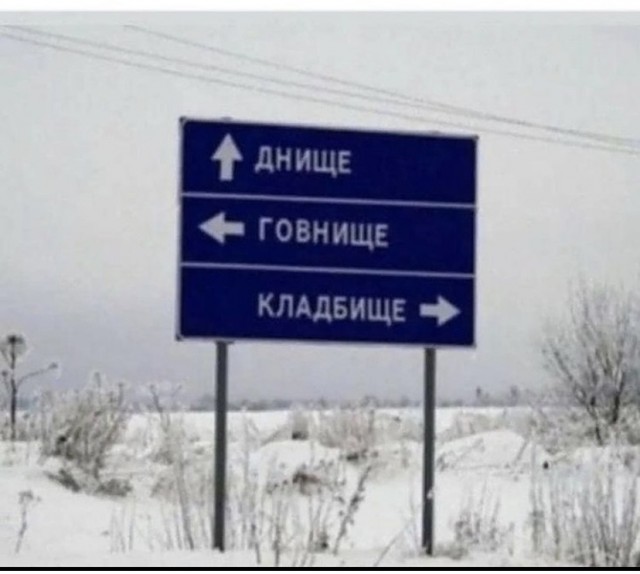 Весёлый полтишок 10.08